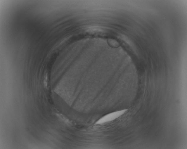 X0000081310919200702082106