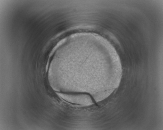 X0000081310920200702082106