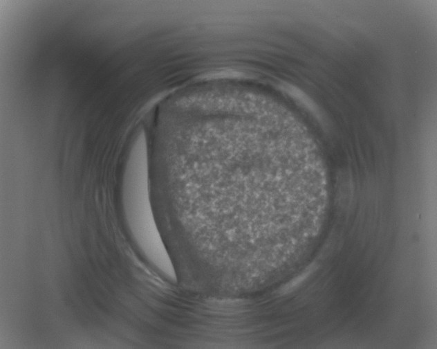 X0000081310921200702082106