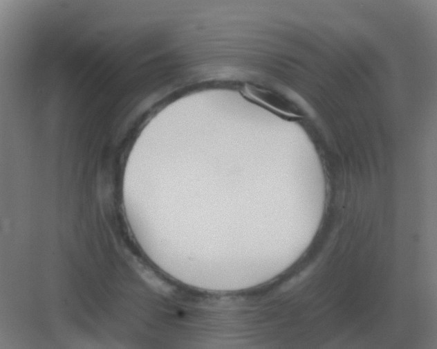 X0000081310922200702082106