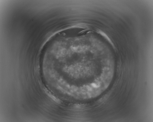 X0000081310923200702082106