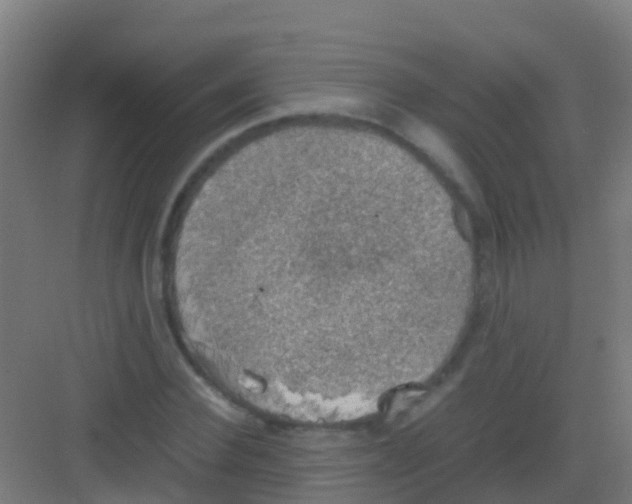 X0000081310924200702082106