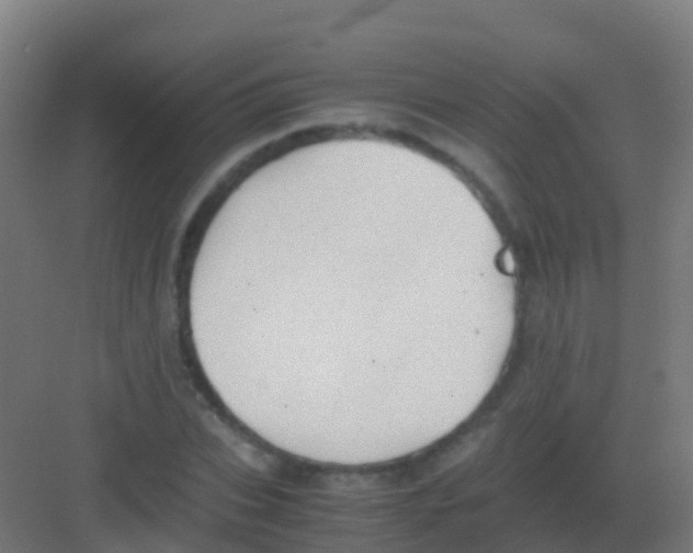 X0000081310927200702082106