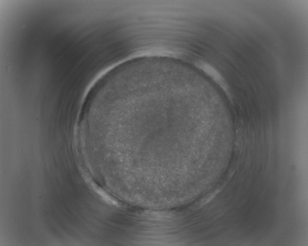 X0000081310928200702082106