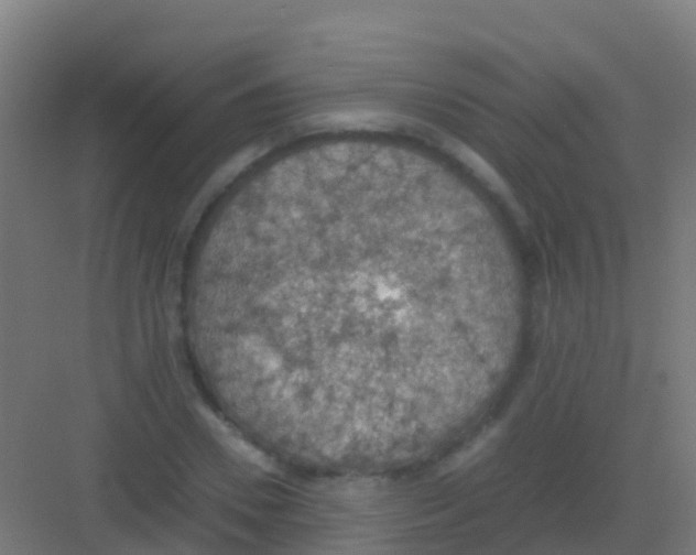 X0000081310930200702082106