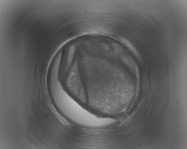 X0000081310932200702082106