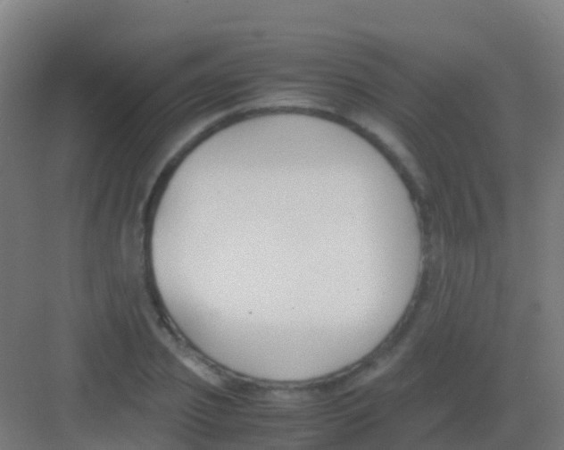 X0000081310933200702082106