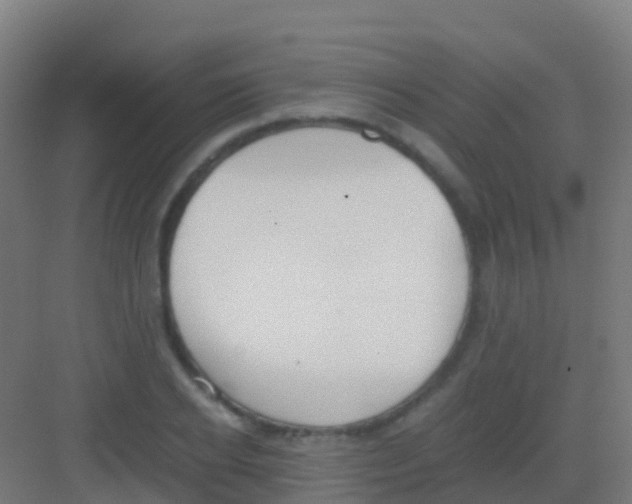 X0000081310934200702082106