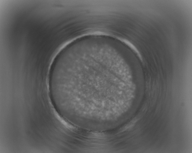 X0000081310935200702082106