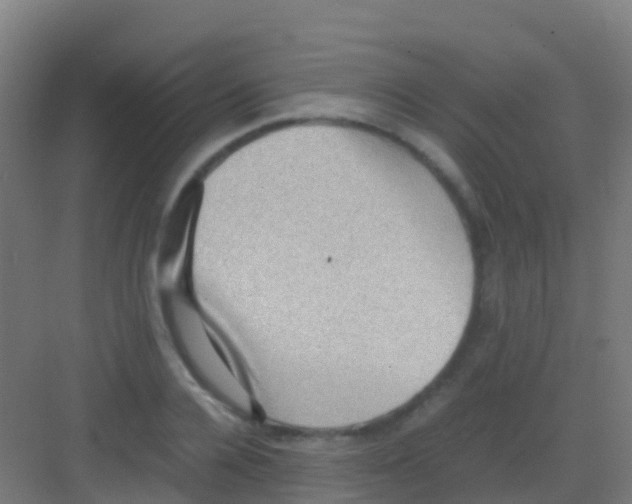 X0000081310936200702082106