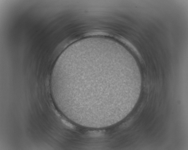 X0000081310937200702082106