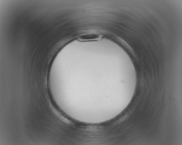 X0000081310938200702082106