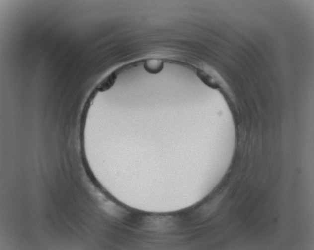 X0000081310939200702082106