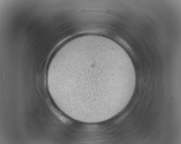 X0000081310940200702082106