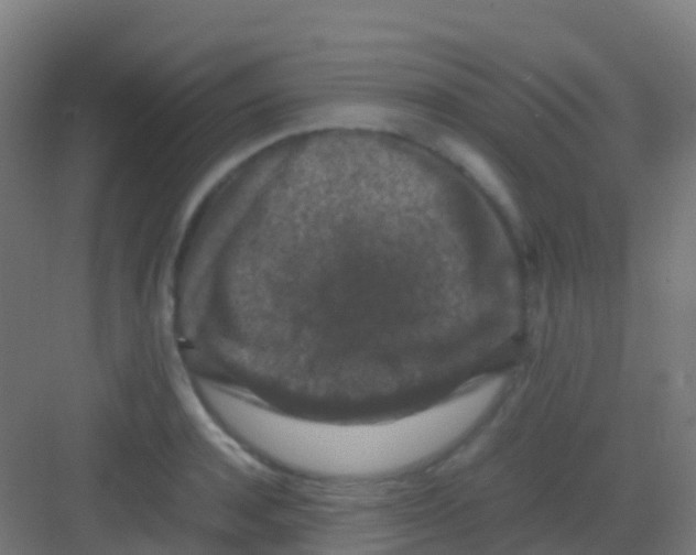 X0000081310944200702082107