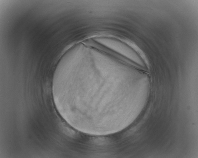 X0000081310945200702082107