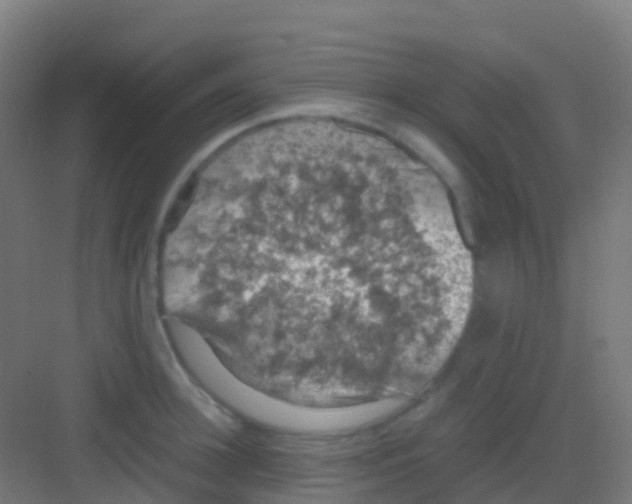 X0000081310948200702082107