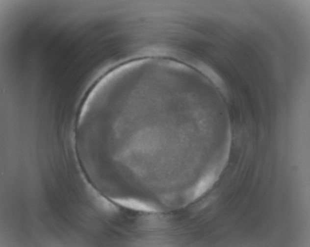 X0000081310950200702082107