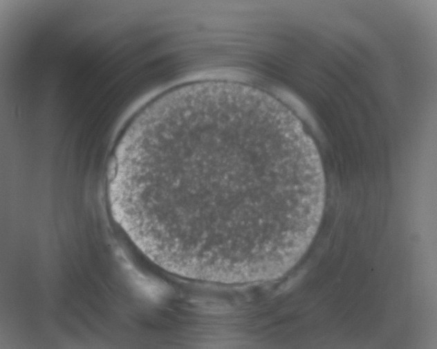 X0000081310952200702082107