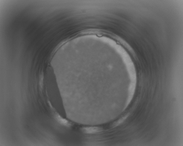 X0000081310953200702082107