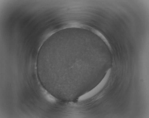 X0000081310954200702082107