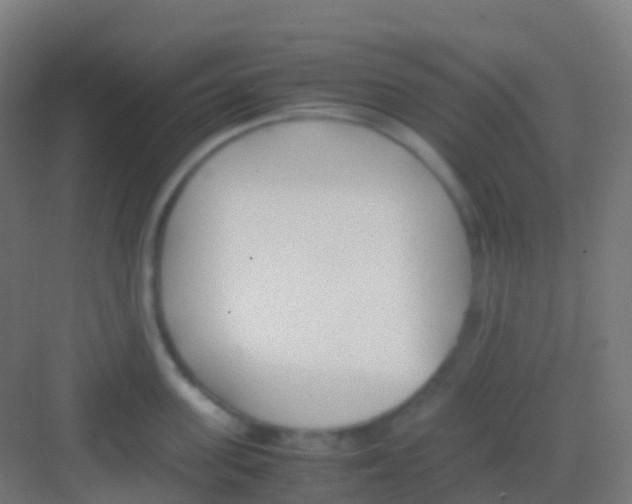 X0000081310955200702082107