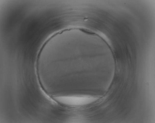 X0000081310958200702082107