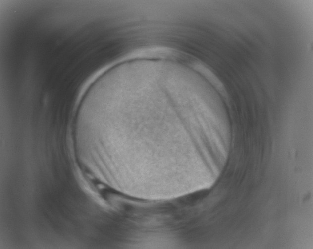 X0000081310960200702082107