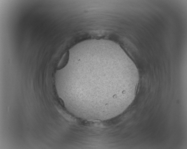 X0000081310961200702082106