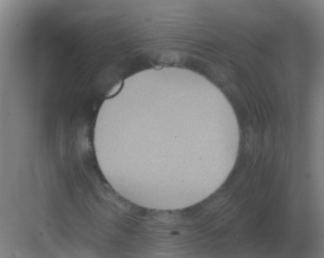 X0000081310962200702082106