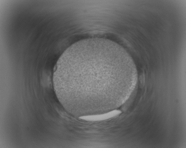 X0000081310963200702082106