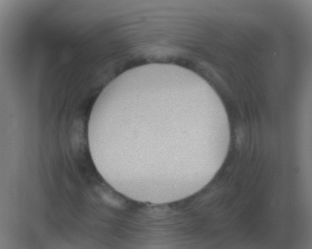 X0000081310964200702082106