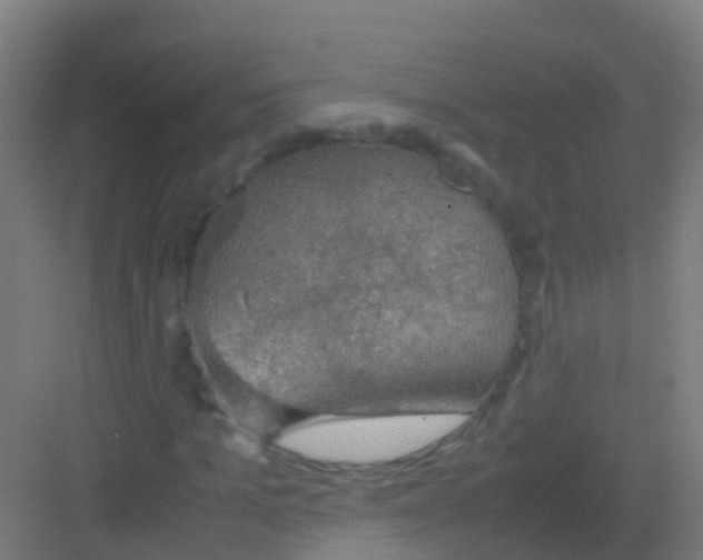 X0000081310965200702082106