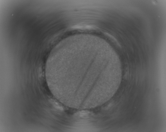 X0000081310966200702082106