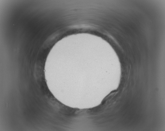 X0000081310967200702082106