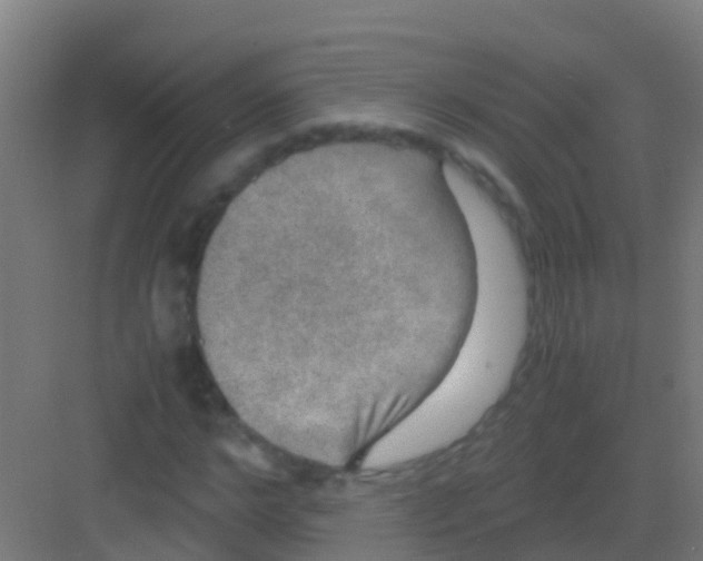 X0000081310968200702082106