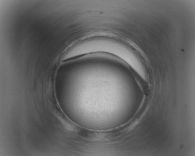 X0000081310969200702082106