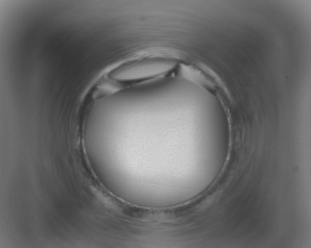 X0000081310973200702082106