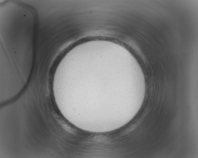 X0000081310974200702082106