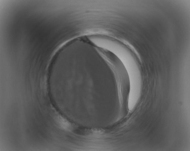 X0000081310975200702082106