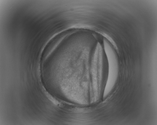 X0000081310976200702082106