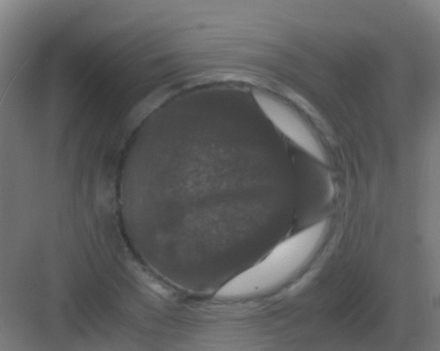 X0000081310977200702082106