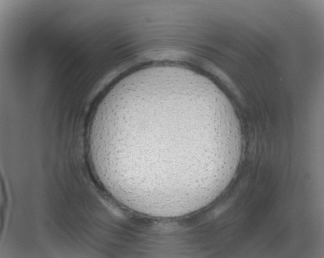 X0000081310978200702082106