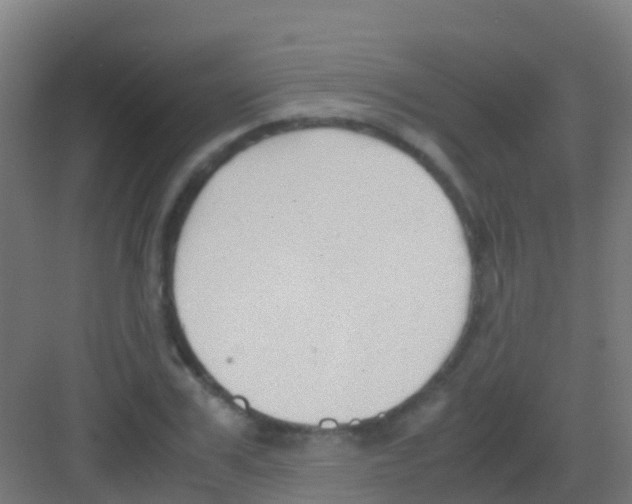 X0000081310979200702082106