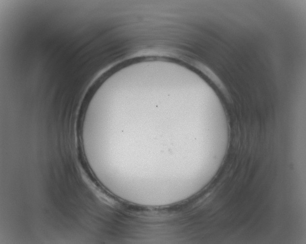 X0000081310980200702082106