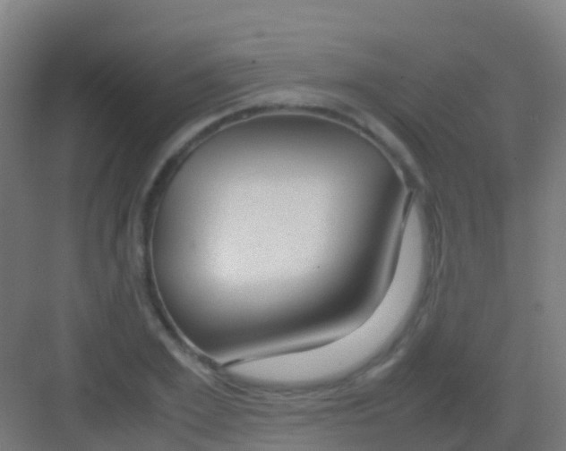 X0000081310981200702082106