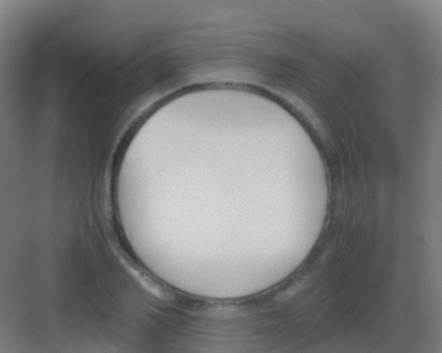 X0000081310982200702082106