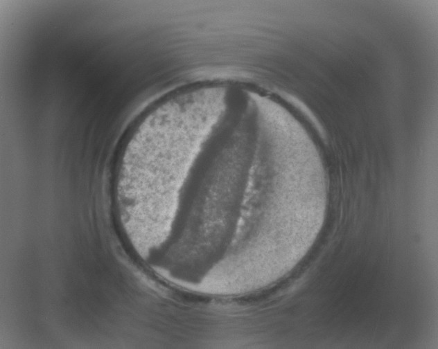 X0000081310983200702082106