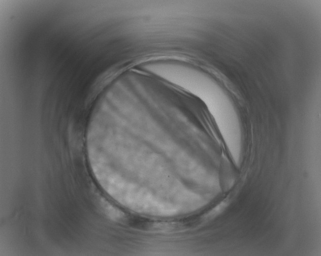 X0000081310985200702082106