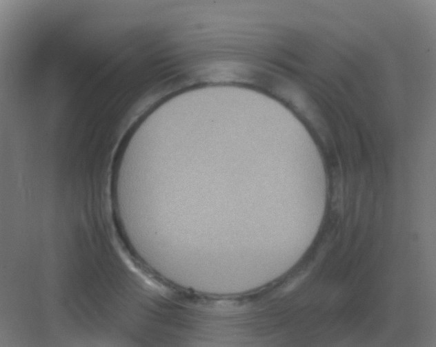 X0000081310986200702082106